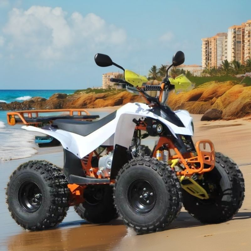 125/150cc 4륜 유틸리티 ATV 앞 드럼 후방 디스크 브레이크 시스템 농업용